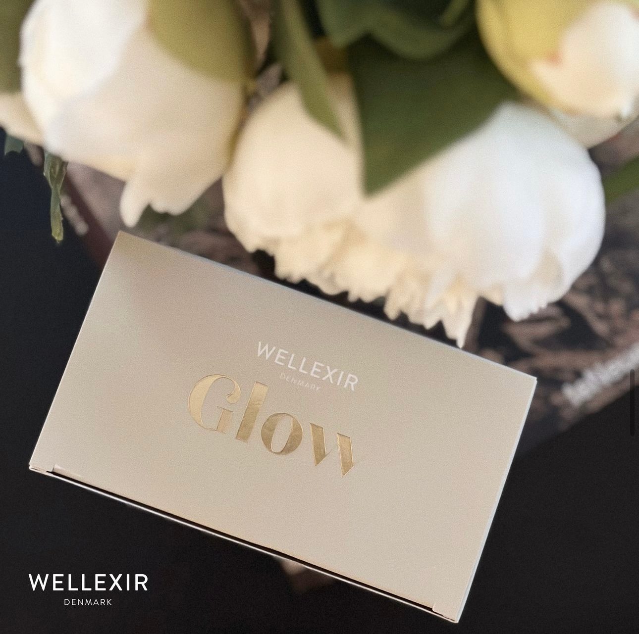 Wellexir Glow Coffee Creamer Vanilla 30 sachet box -