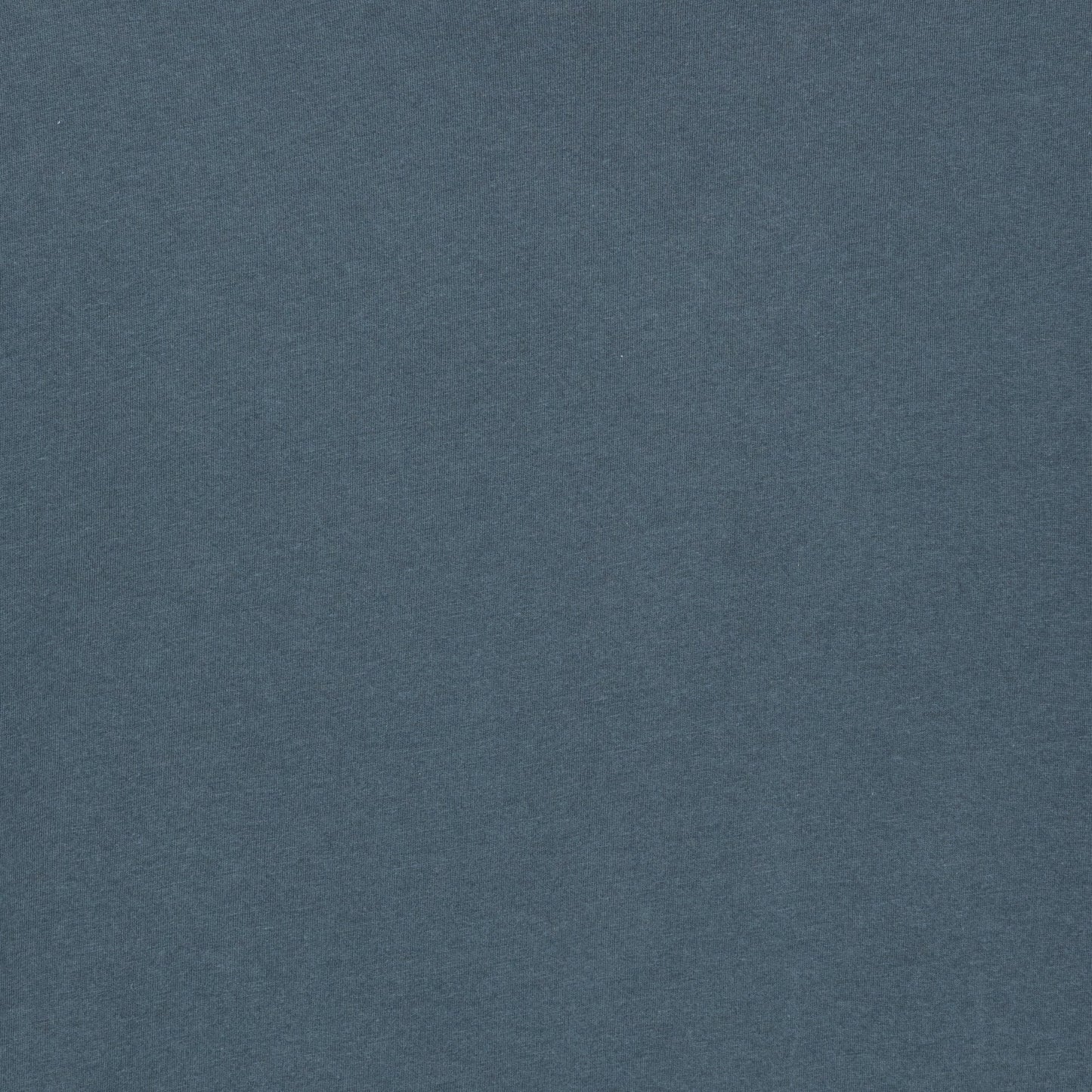 Shiva Tee - Dusty Blue